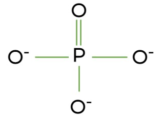 <p>It is negatively charged, due to the high polarity of the molecule.</p>