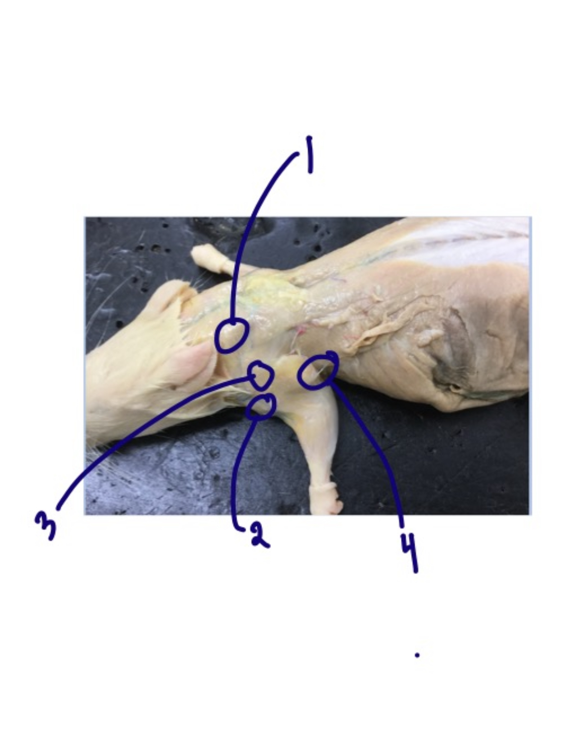 <p>1?</p>