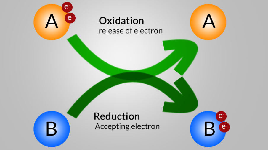 <p><span style="font-family: Arial, sans-serif">one or more electrons from atoms or molecules may occur&nbsp;</span></p><p><span style="font-family: Arial, sans-serif"><mark data-color="purple">Oxidation</mark></span><strong><span style="font-family: Arial, sans-serif">&nbsp;; </span></strong><span style="font-family: Arial, sans-serif">oxygen is frequently involved in chemical reactions that remove electrons from another atom or a molecule&nbsp;</span></p>