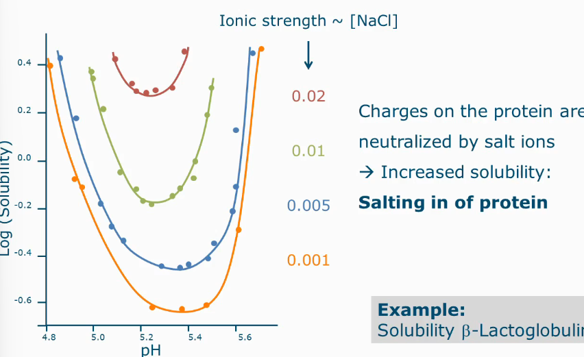 <ul><li><p>The more salt added the more soluble it becomes</p></li><li><p>Because charges on the protein are neutralized by salt ions</p></li></ul><p></p>