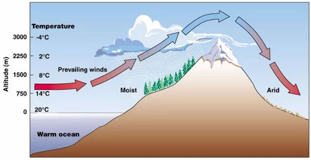 The diagram below shows the direction of wind as it travels from the ocean over a mountain range. Which best explains why the ocean-facing side of the mountain range receives more precipitation than the opposing side of the mountain range?
