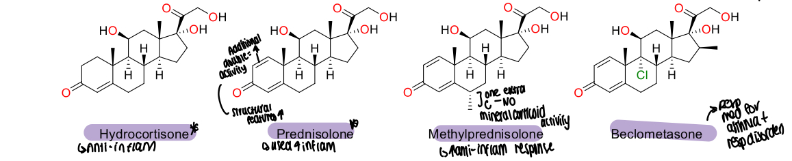 <p>1,2 conjugated C=C ring A in Prednisolone makes it 4x more potent than hydrocortisone </p>