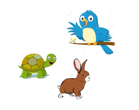 <ul><li><p>cancer patients will survive if their tumours are contained - aim of cancer therapy is to <strong>fence them in </strong></p></li><li><p>birds cant be fenced in - they will fly away - disseminated tumours - widespread at the time of diagnosis</p></li><li><p>rabbits can jump - can escape - can be contained - treat them aggressively </p></li><li><p>tortoises - all benign tumours, and<strong> indolent malignant tumours </strong></p></li></ul><p></p>