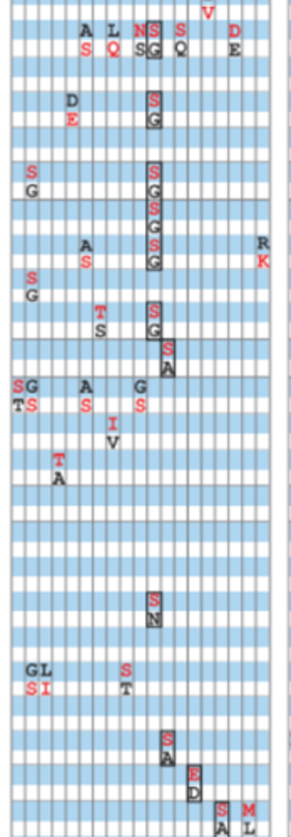 <p>what does box around aa pair mean?</p>