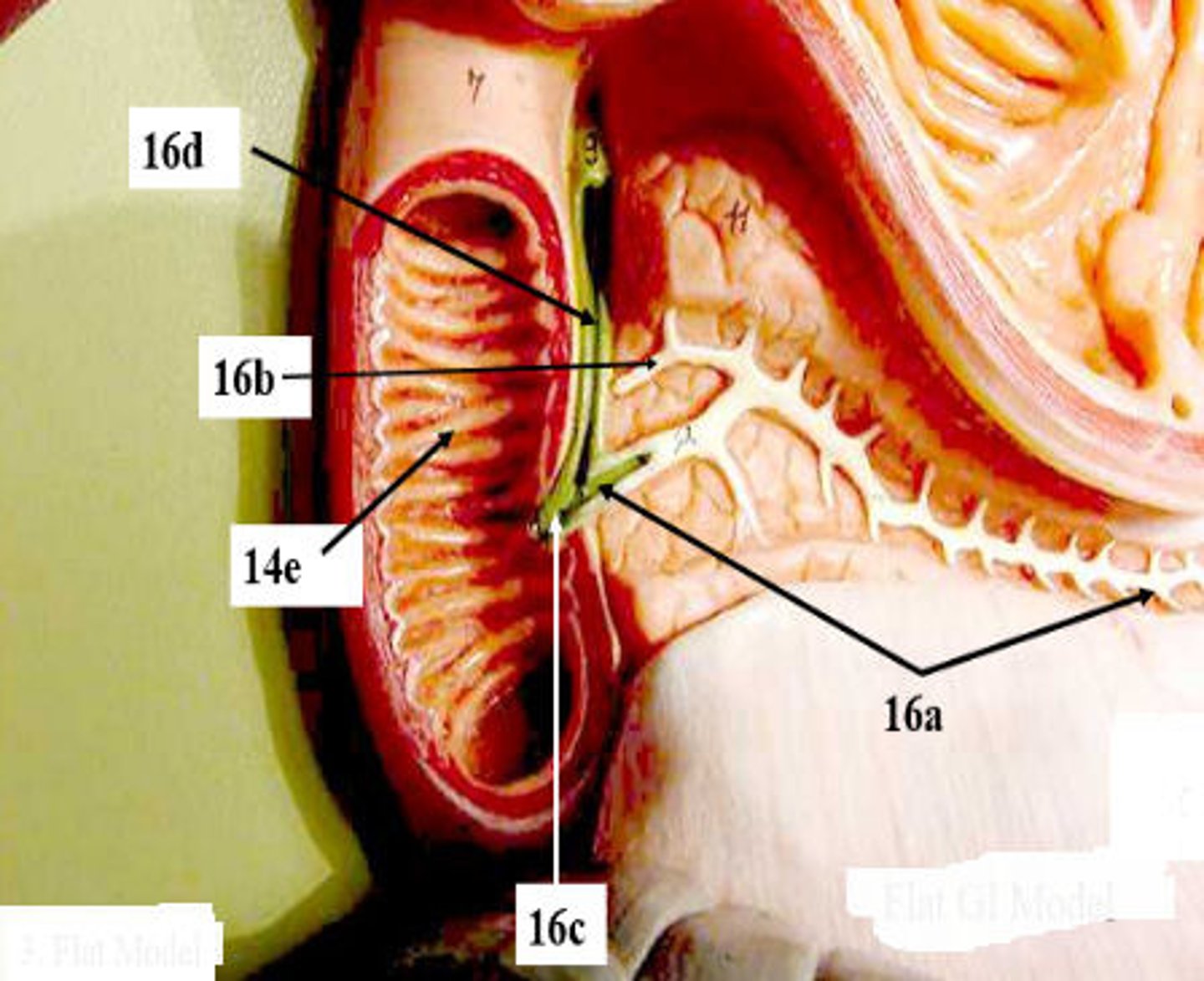 <p>What is 16d?</p>