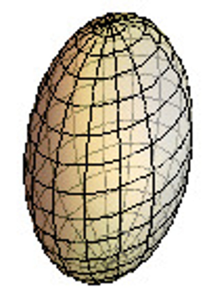 <p>Ellipsoid</p>