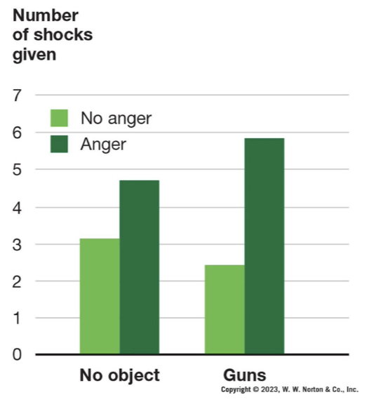 <p>how people interpret situation plays a vital role in whether they will act aggressively</p><ul><li><p>participants more likely to deliver more aggression when a weapon was present in the room (presence/possession of a weapon makes people act more aggressively)</p></li></ul>