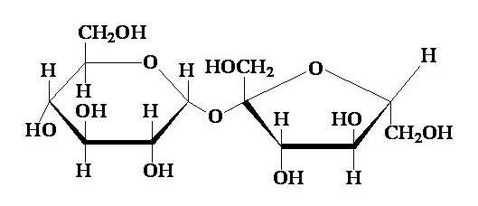 <p>What disaccharide is this</p>
