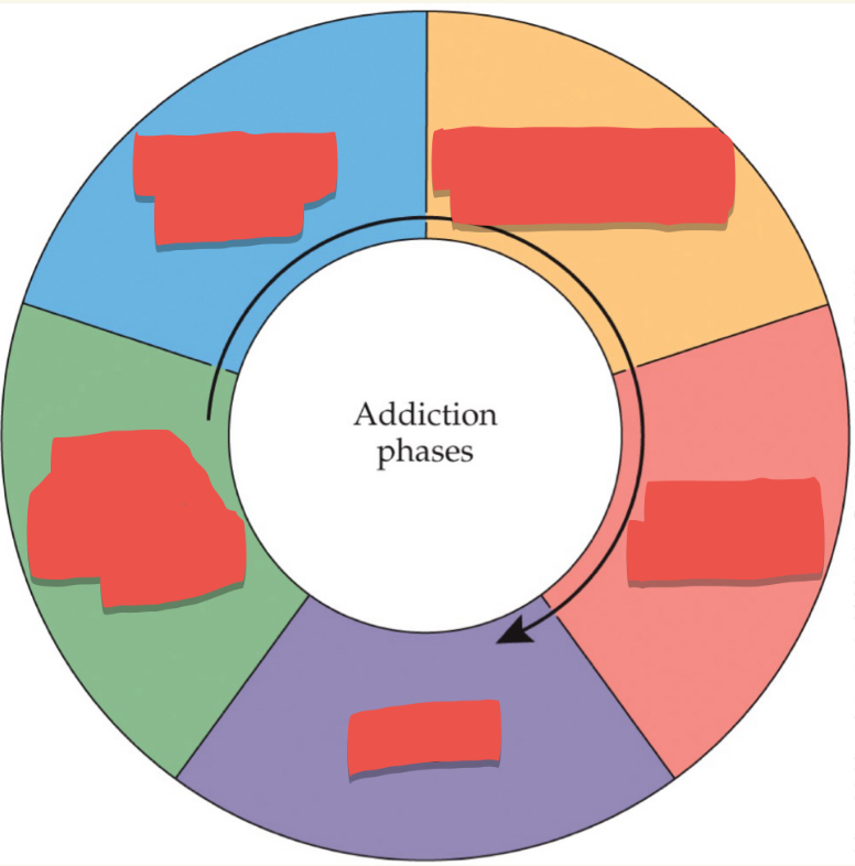<p>Progression of drug use from nonproblematic to problematic: Last stage</p>