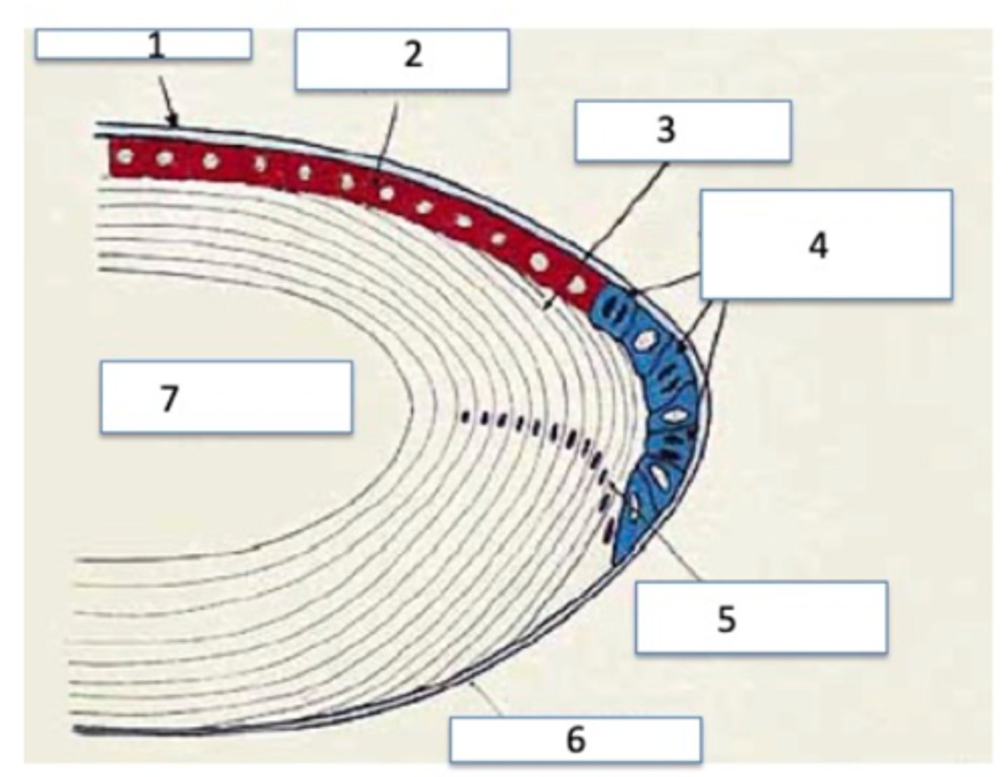 <p>#5</p>