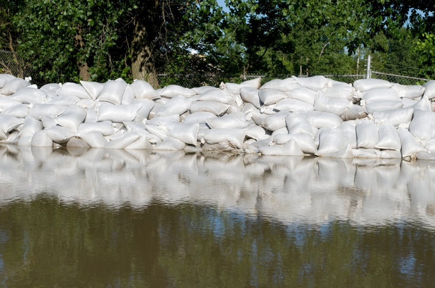 <p>Making a <u>problem less harsh or severe</u> <span>(minimizing it).</span><br><br><span>Example: placing down sandbags in an area to prevent or lessen flooding</span></p>