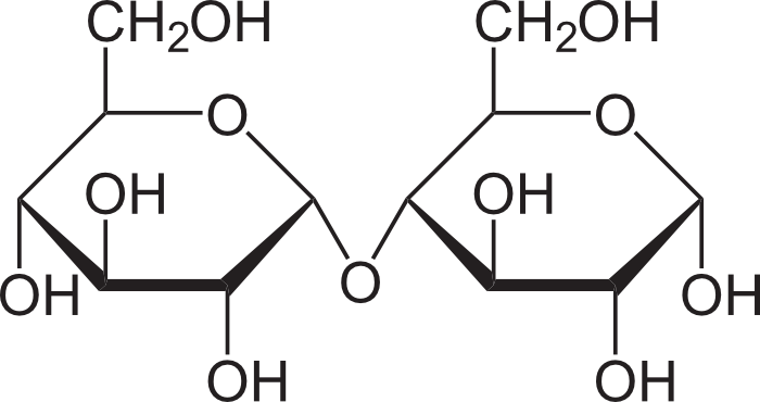 <p>maltose = ________ + _________</p>