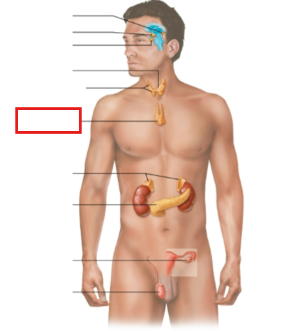 <p>What structure is highlighted?</p>