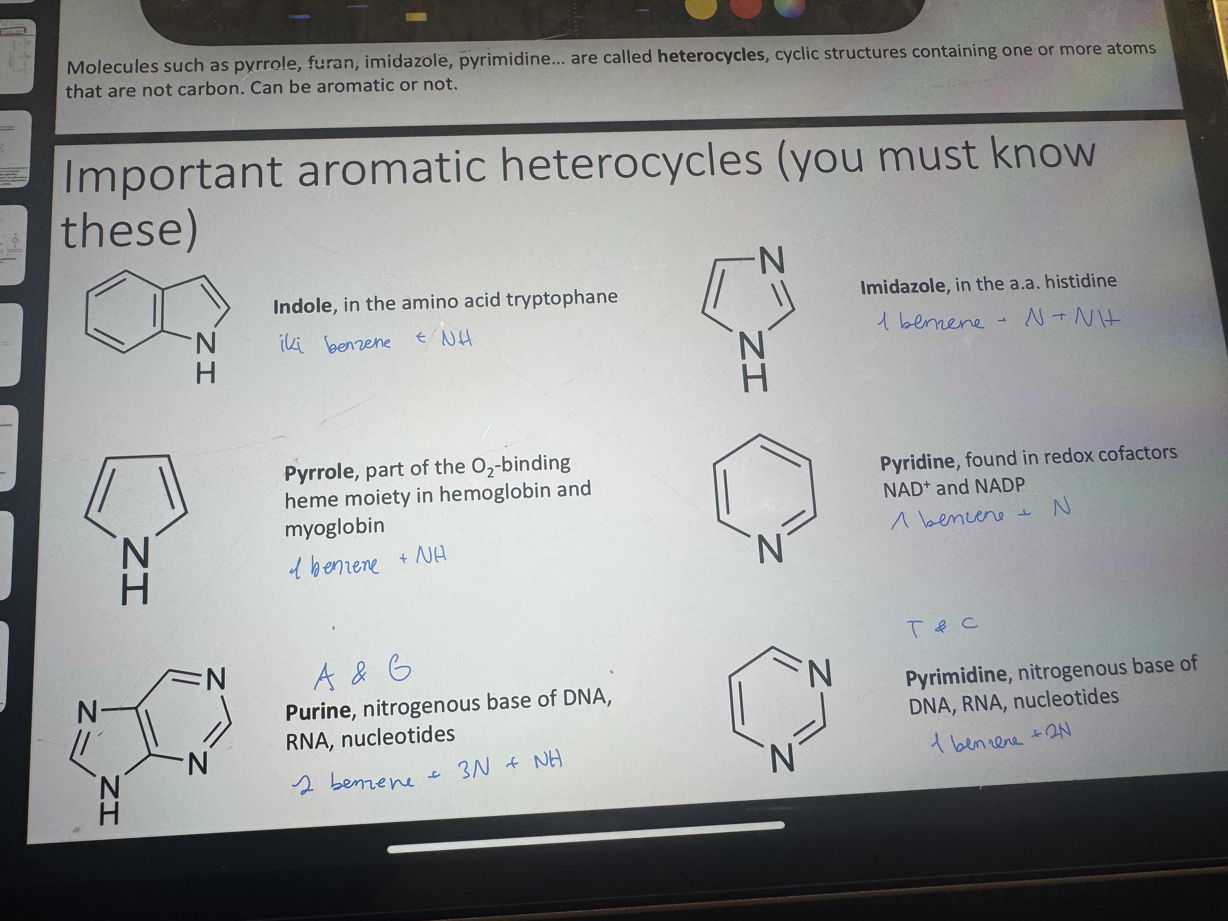 <p>name these</p>