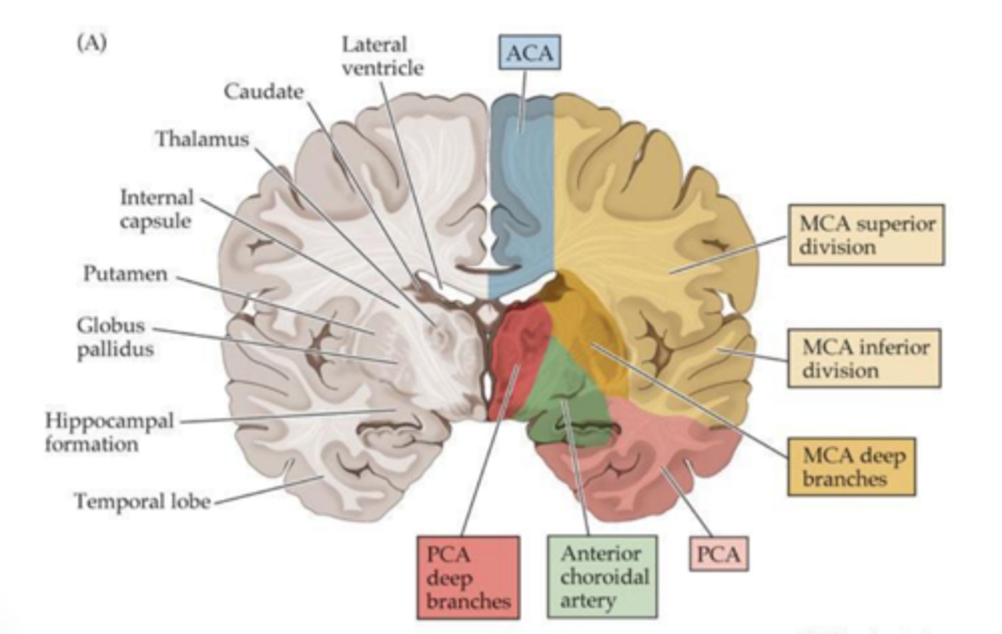 <p>the PCA</p>