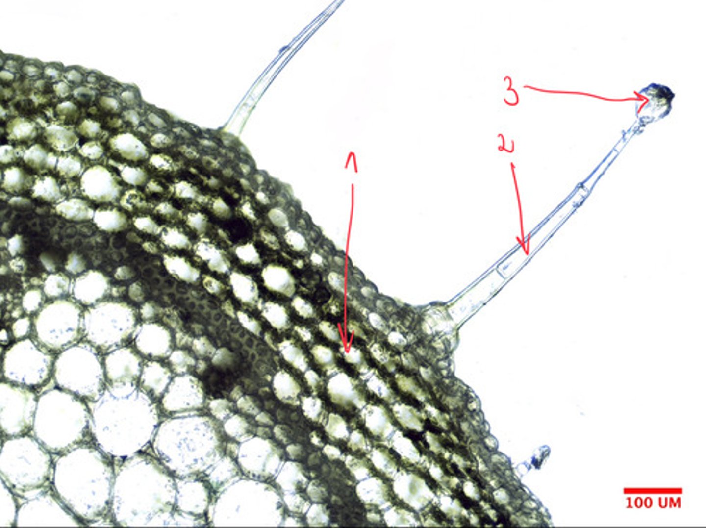 <p>2</p>