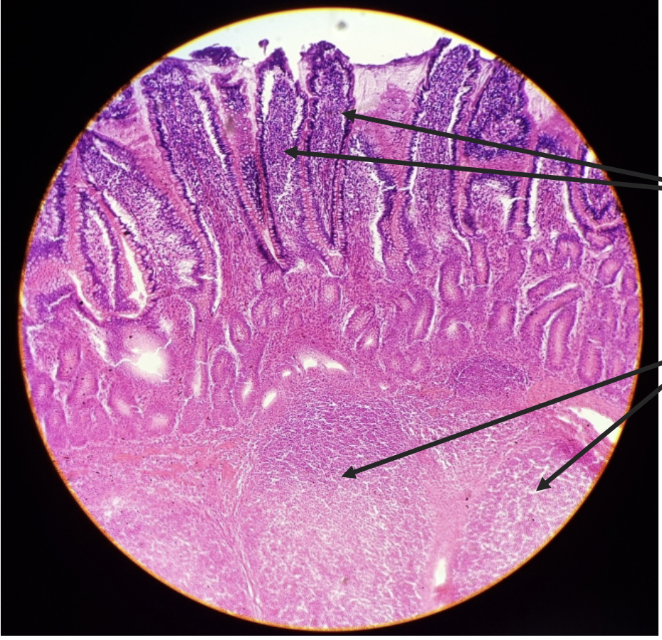 <p>what is this?&nbsp;</p>