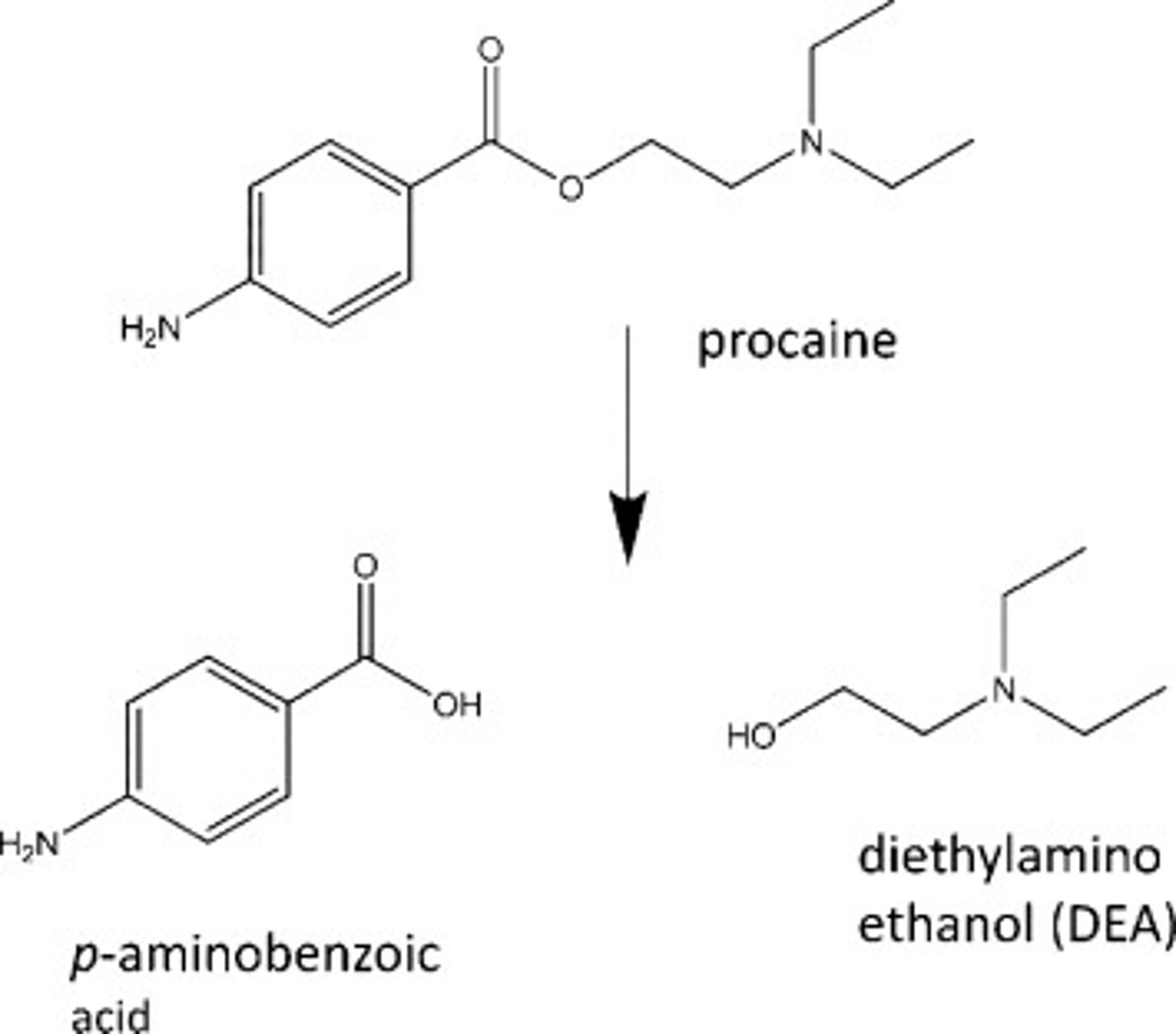 <p>c. Hydrolysis</p>