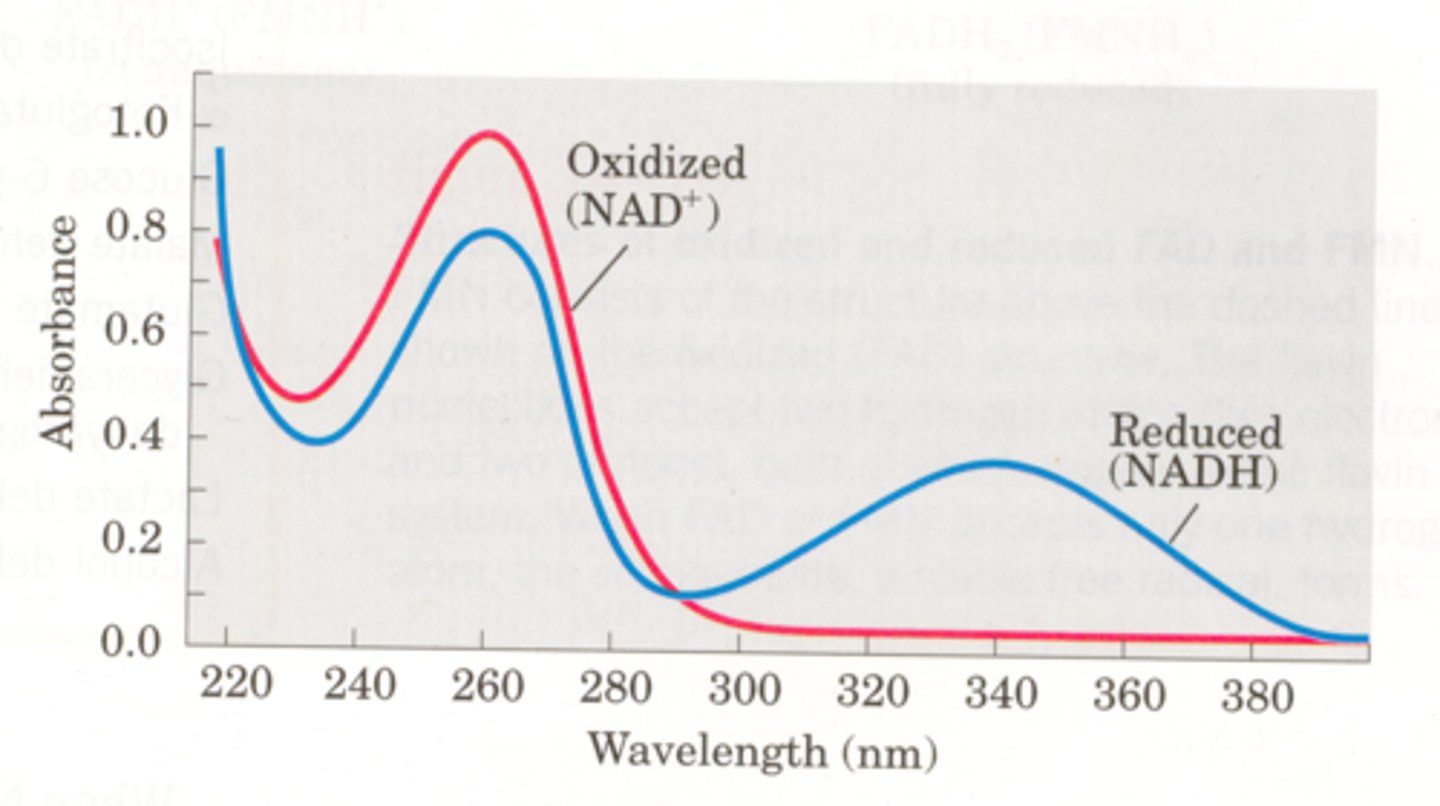 <p>Blood tests. Use NADH -> NAD+ to test how much because it is measurable. NAD has no absorbance, but nadh has absorbance at 340 nm. Aspartate turns into Malate through Malate dehydrogenase and alanine turns into lactate through lactate dehydrogenase</p>