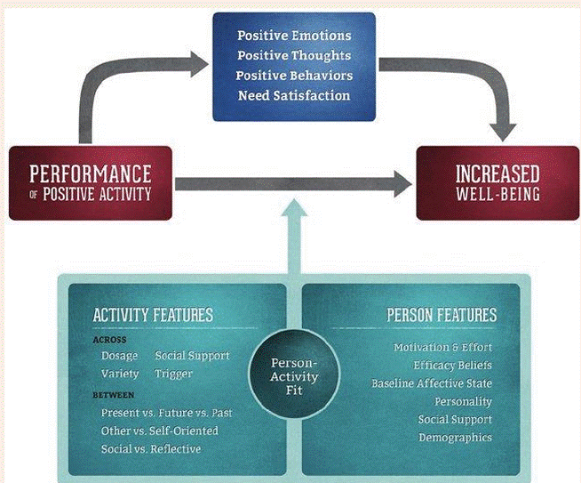 <p><strong>Goal:</strong> Explains how and why positive activities boost well-being.</p><p><strong><u>Flow:</u></strong></p><ol><li><p><strong>Do a Positive Activity</strong><br>(e.g., gratitude, kindness, savoring)</p></li><li><p><strong>Leads to:</strong></p><ul><li><p>Positive emotions</p></li><li><p>Positive thoughts</p></li><li><p>Positive behaviors</p></li><li><p>Psychological need satisfaction</p></li></ul></li><li><p><strong>Result:</strong><br>→ <strong>Increased well-being</strong> (happiness, life satisfaction, less depression)</p></li></ol><p><strong><u>What Affects the Outcome?</u></strong></p><p><strong>Person-Activity Fit</strong> — how well the activity matches the person.</p><p><strong><u> <span data-name="small_blue_diamond" data-type="emoji">🔹</span> Activity Features: </u></strong></p><ul><li><p>Dosage &amp; variety</p></li><li><p>Social support</p></li><li><p>Self vs. other-oriented</p></li><li><p>Present vs. future focus</p></li></ul><p><strong><u> <span data-name="small_blue_diamond" data-type="emoji">🔹</span> Person Features: </u></strong></p><ul><li><p>Motivation &amp; effort</p></li><li><p>Beliefs about effectiveness</p></li><li><p>Personality &amp; mood</p></li><li><p>Social support &amp; demographics</p></li></ul><p><strong>The better the fit</strong>, the greater the boost to <strong>well-being</strong>.</p>