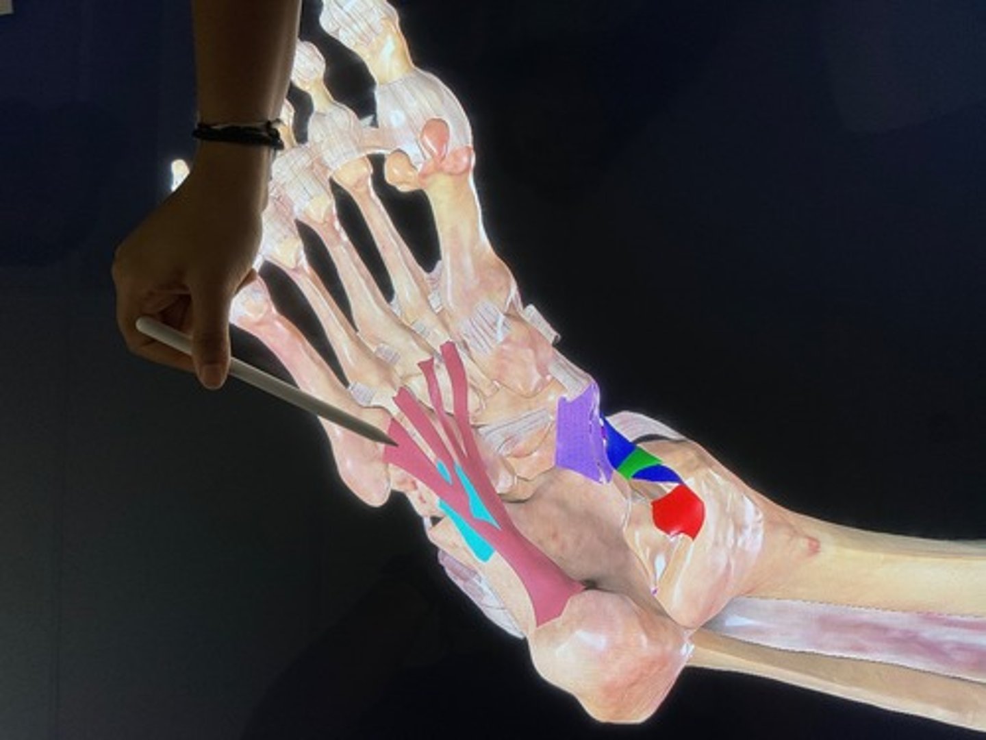 knowt flashcard image