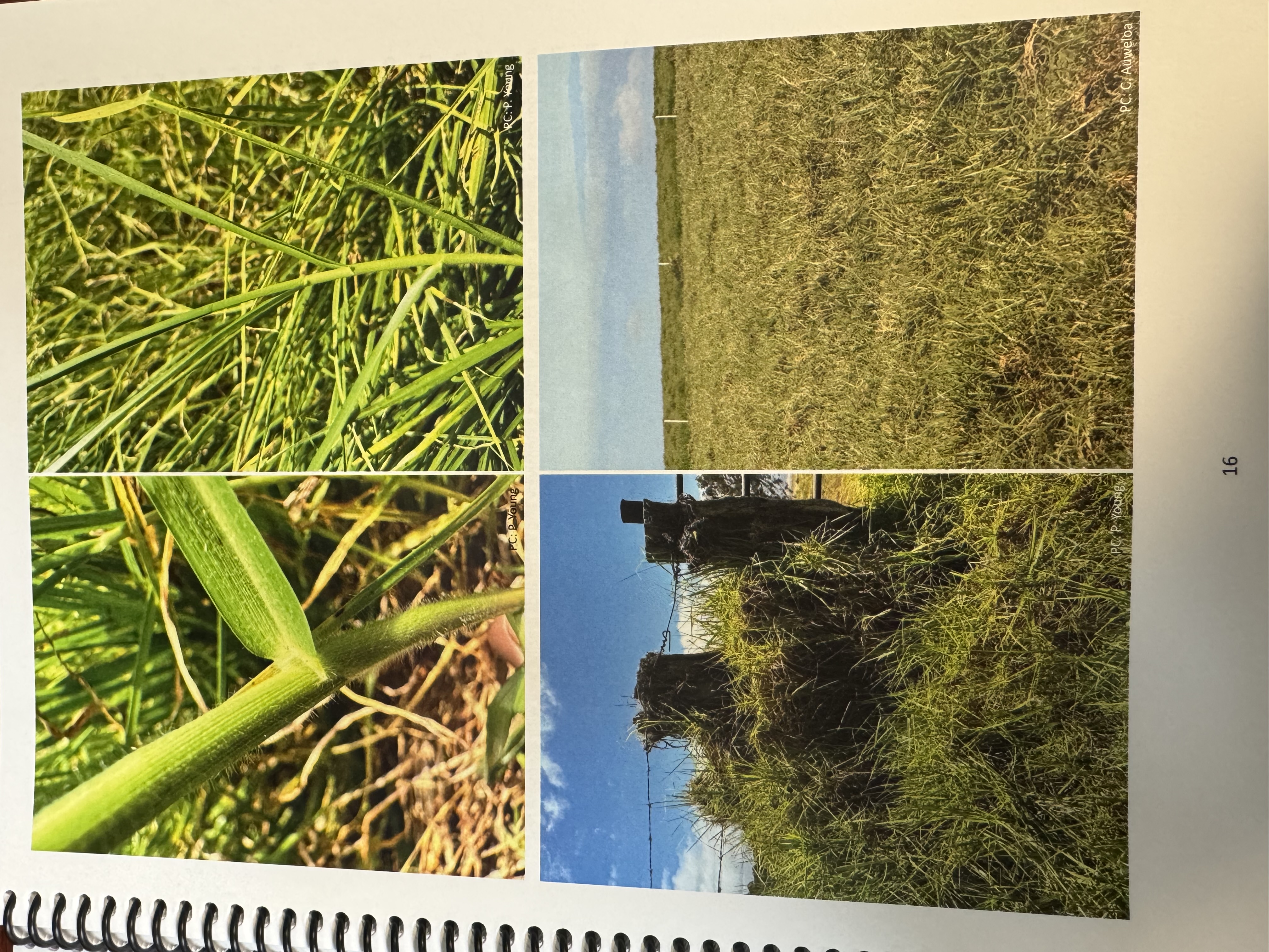 <img src="blob:null/2c9d863e-4823-4347-9970-eb1437295ac6"><p></p>