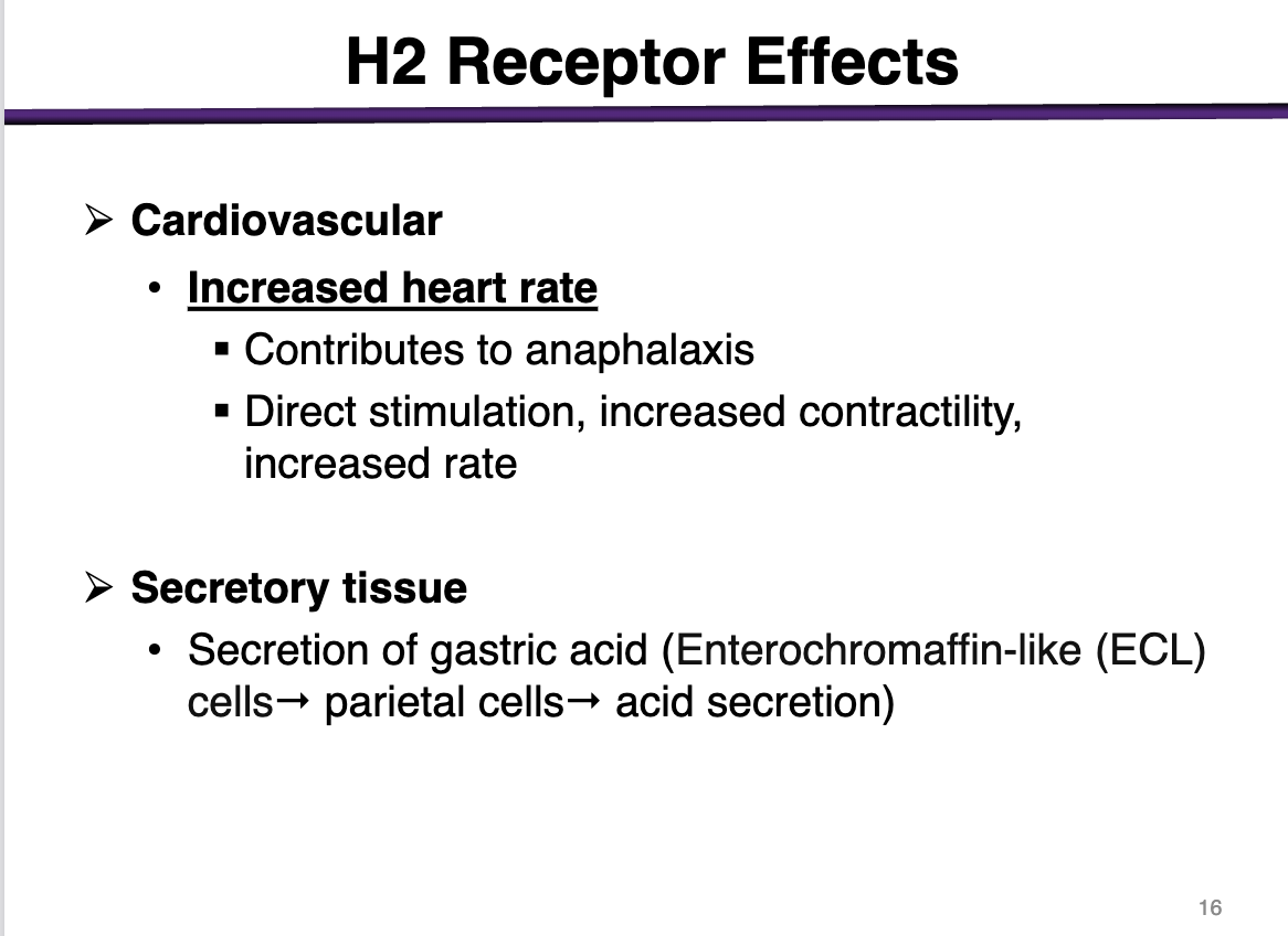 <p>increase heart rate</p><p>contributes to anaphylaxis</p><p>direct stimulation, increased contractility, increased rate </p>