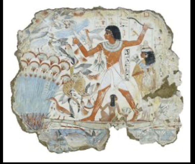 term image