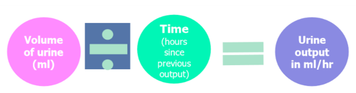 volume of urine (ml) / time (hours since previous output) - urine output in ml/hr