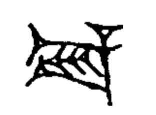 term image