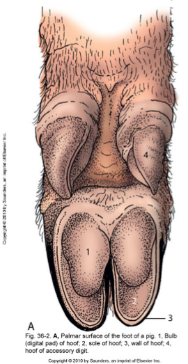 <p>What does this image show?</p>