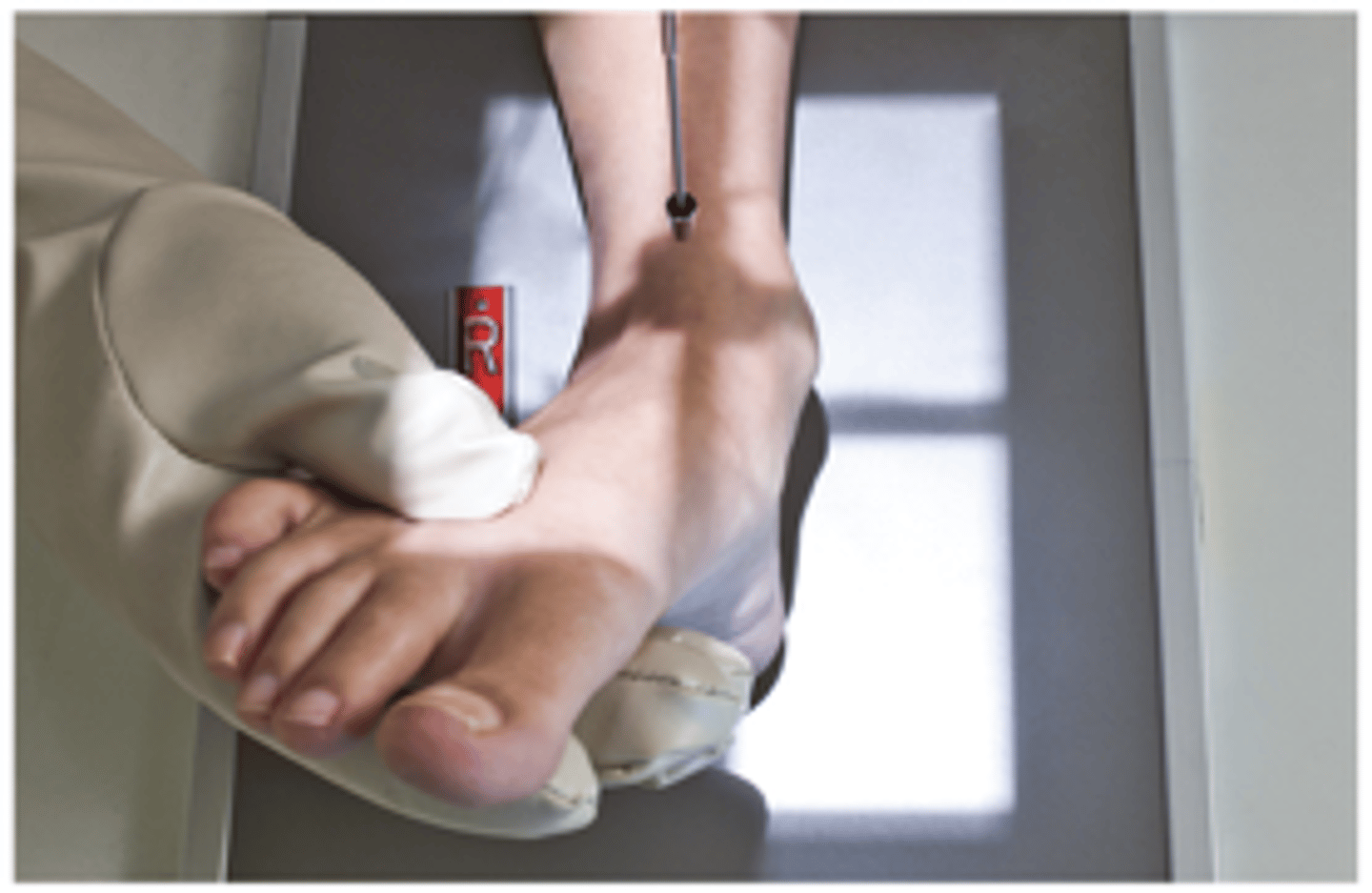 <p>What projection is this?</p>