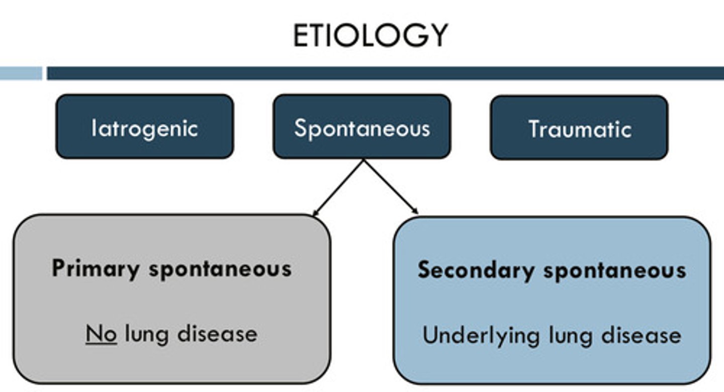 <p>1) iatrogenic (caused by medical exam or tx)</p><p>2) traumatic</p><p>3) spontaneous: primary spontaneous —&gt; happens with NO underlying lung disease &amp; secondary spontaneous —&gt; happens with underlying lung disease</p>