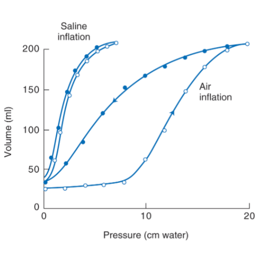 <p>Abolish surface tension and increases compliance </p>