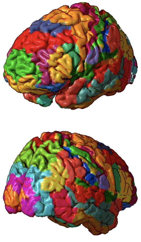 <p>division of the brain based on (cyto)architecture</p><ul><li><p>(cytoarchitecture -cellular composition of the central nervous system&apos;s tissues under the microscope)</p></li></ul>