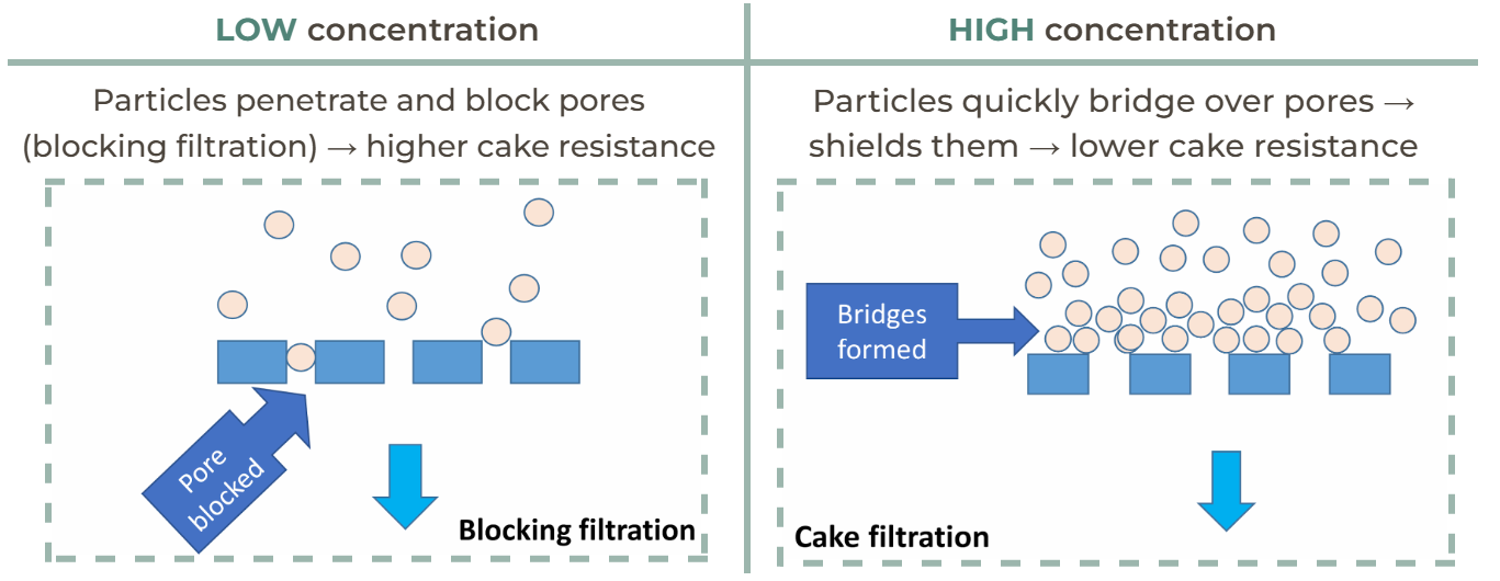 <table style="min-width: 382px;"><colgroup><col style="width: 357px;"><col style="min-width: 25px;"></colgroup><tbody><tr><td colspan="1" rowspan="1" colwidth="357" style="border-right: 2.25pt solid rgb(156, 182, 173); border-bottom: 2.25pt solid rgb(156, 182, 173); vertical-align: top; padding: 2.16pt; overflow: hidden; overflow-wrap: break-word;"><p style="text-align: center;"><span style="background-color: transparent;"><strong><span>LOW concentration</span></strong></span></p></td><td colspan="1" rowspan="1" style="border-left: 2.25pt solid rgb(156, 182, 173); border-bottom: 2.25pt solid rgb(156, 182, 173); vertical-align: top; padding: 2.16pt; overflow: hidden; overflow-wrap: break-word;"><p style="text-align: center;"><span style="background-color: transparent;"><strong><span>HIGH concentration</span></strong></span></p></td></tr><tr><td colspan="1" rowspan="1" colwidth="357" style="border-right: 2.25pt solid rgb(156, 182, 173); border-top: 2.25pt solid rgb(156, 182, 173); vertical-align: top; overflow: hidden; overflow-wrap: break-word;"><p style="text-align: center;"><span style="background-color: transparent;"><strong><span>Particles penetrate and block pores (blocking filtration) </span></strong><span>→</span><strong><span> higher cake resistance</span></strong></span></p></td><td colspan="1" rowspan="1" style="border-left: 2.25pt solid rgb(156, 182, 173); border-top: 2.25pt solid rgb(156, 182, 173); vertical-align: top; overflow: hidden; overflow-wrap: break-word;"><p style="text-align: center;"><span style="background-color: transparent;"><strong><span>Particles quickly bridge over pores </span></strong><span>→</span><strong><span> shields them </span></strong><span>→</span><strong><span> lower cake resistance</span></strong></span></p></td></tr></tbody></table><p></p>