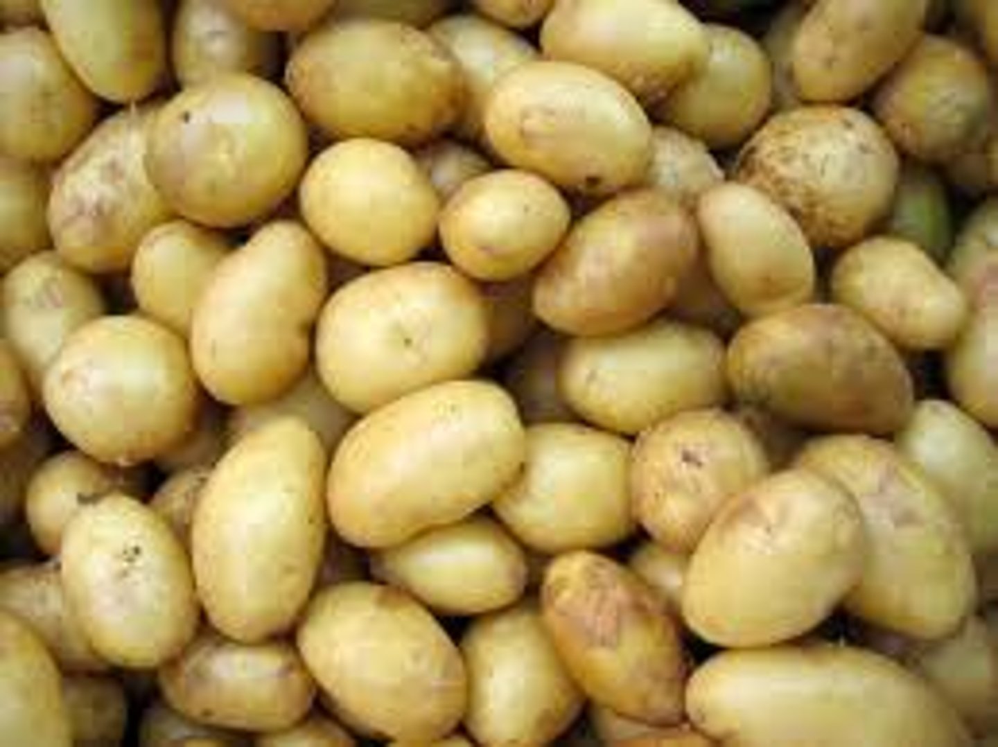 <p>Aloo (Batata)</p>