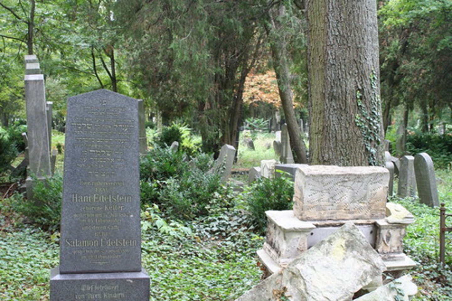 <p>(v.) to commit sacrilege upon, treat irreverently; to contaminate, pollute</p><p>SYNONYMS: profane, defile, violate</p><p>ANTONYMS: revere, venerate, consecrate</p>