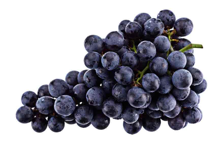 <p>Grape</p>