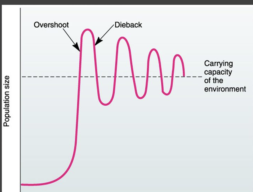 <p>explain the most realistic growth curve</p>