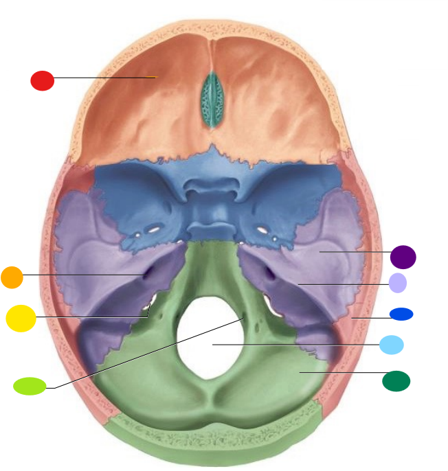 <p>What is this?</p>
