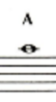 <p>A</p>
