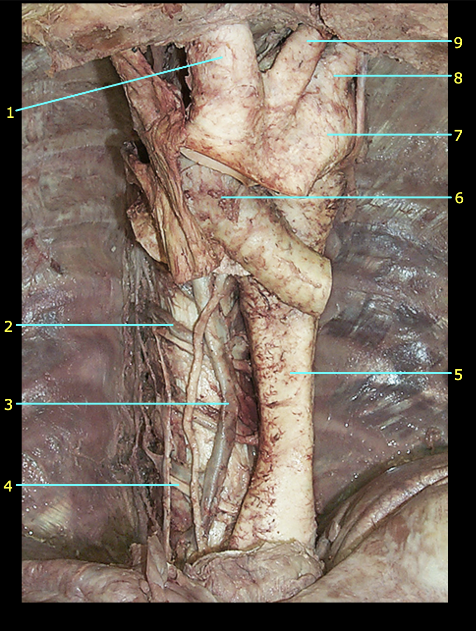 <p>1</p>