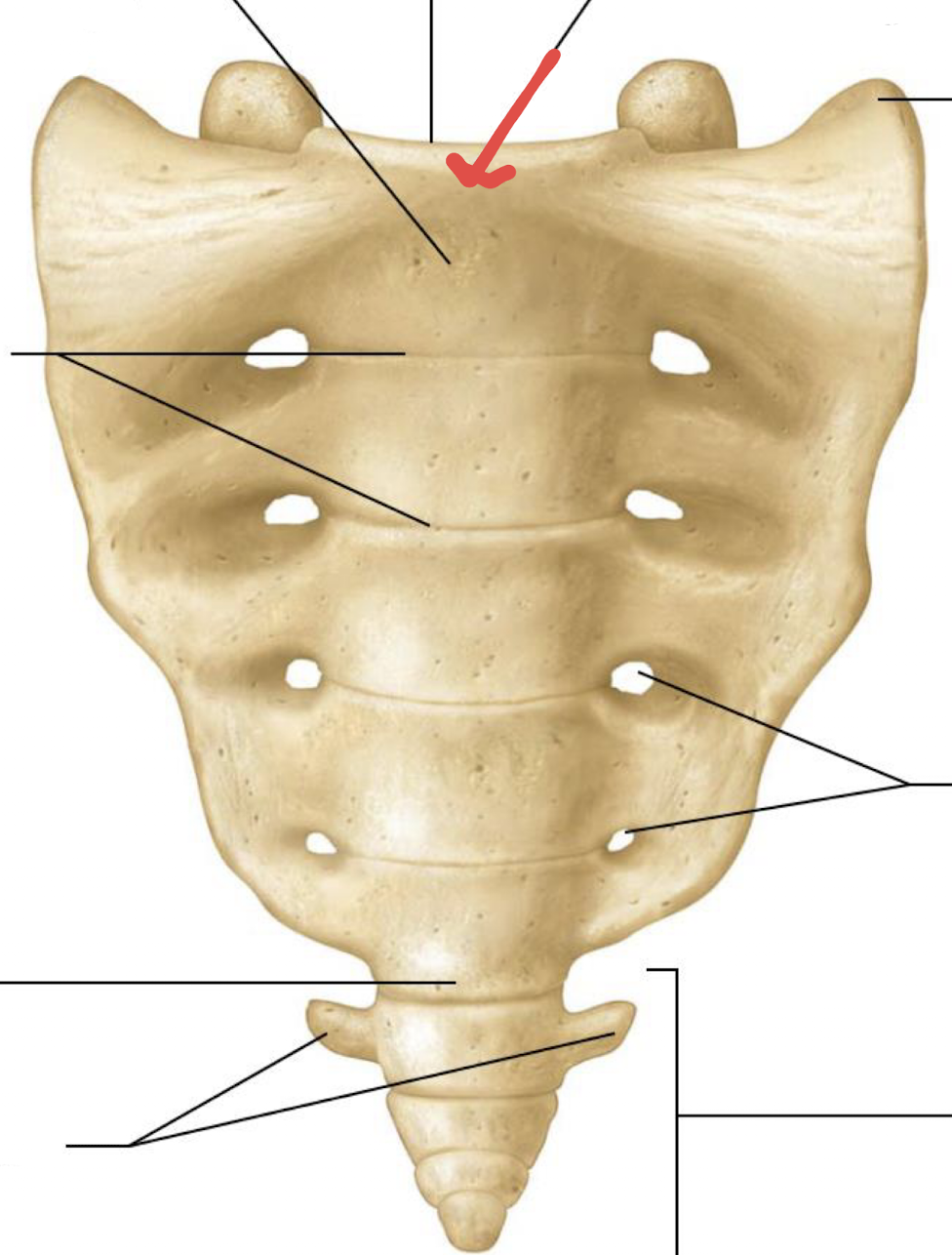 <p>what is this?</p>