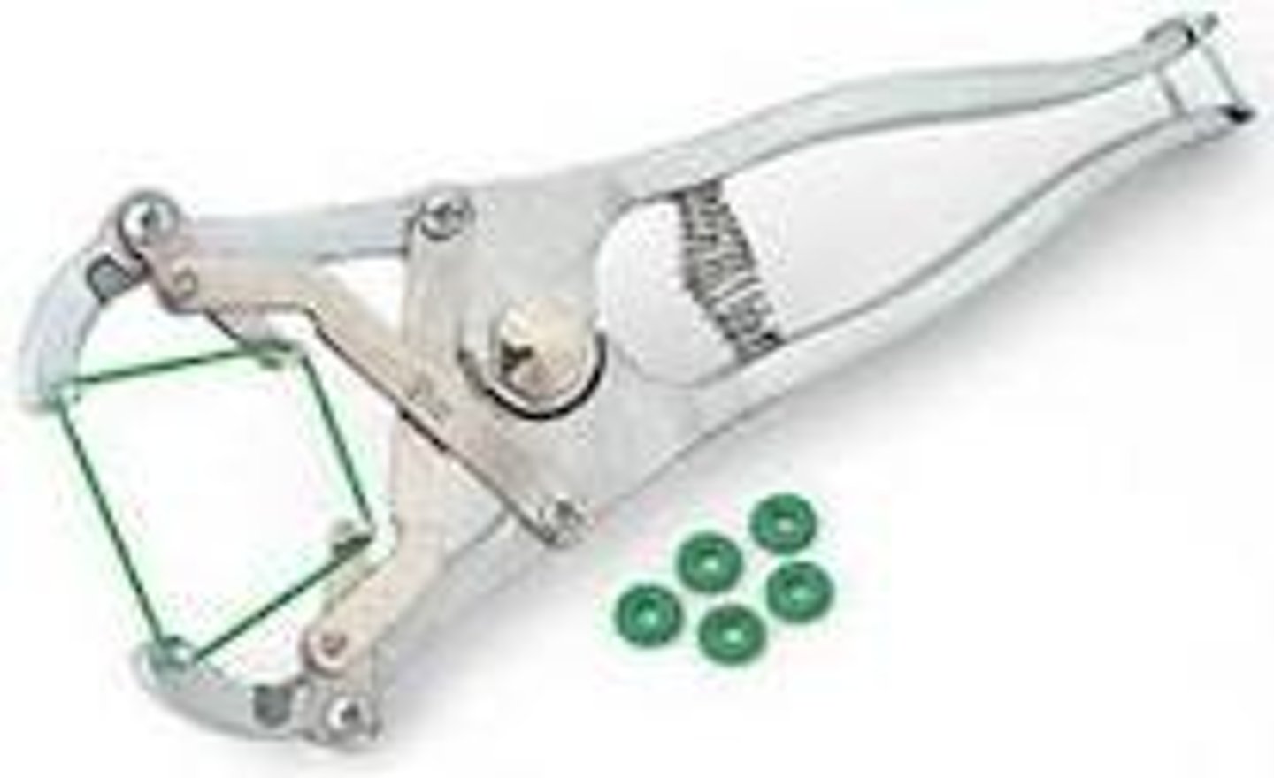 <p>bloodless castration device using small elastic bands</p>