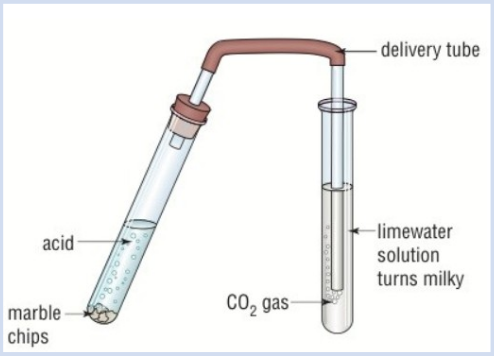 <p>Add calcium carbonate to some hydrochloric acid and add in the substance you are testing</p><p>Attach a bung and delivery tube to the test tube and put the tube into a test tube of limewater, bubbles should start to come through the tube into the limewater</p><p>If CO₂ is present the limewater will turn milky/cloudy in colour</p>