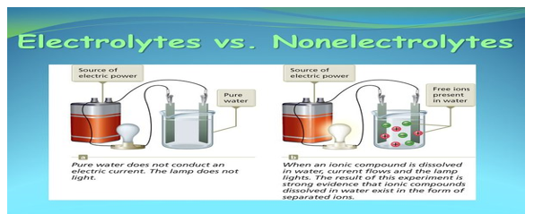 <p><br><span>&nbsp;Study the picture <strong>BELOW</strong>. How is the electrolyte solution contrasted with the nonelectrolyte solution?&nbsp; &nbsp;&nbsp;&nbsp;&nbsp;&nbsp;&nbsp;&nbsp;&nbsp;&nbsp;&nbsp;&nbsp;&nbsp;&nbsp;&nbsp;&nbsp;&nbsp;&nbsp;&nbsp;&nbsp;&nbsp;&nbsp;&nbsp;&nbsp;&nbsp;&nbsp;&nbsp;&nbsp;&nbsp;&nbsp;&nbsp;&nbsp;&nbsp;&nbsp;&nbsp;&nbsp;&nbsp;&nbsp;&nbsp;&nbsp;&nbsp;&nbsp;&nbsp;&nbsp;&nbsp;&nbsp;&nbsp;&nbsp;</span></p><p class="MsoNormal" style="text-align: justify"><span>A. By looking at the solutes that dissociate into ions when dissolved and can conduct electricity</span></p><p class="MsoNormal" style="text-align: justify"><span>B. By examining the solutes that do not dissociate into ions when dissolved and therefore do not conduct electricity</span></p><p class="MsoNormal" style="text-align: justify"><span>C.&nbsp; By testing the solutes that dissociate into ions when dissolved and can conduct electricity</span></p><p class="MsoNormal" style="text-align: justify"><span>D. By measuring the solutes that do dissociate into ions when dissolved and therefore do not conduct electricity</span></p>