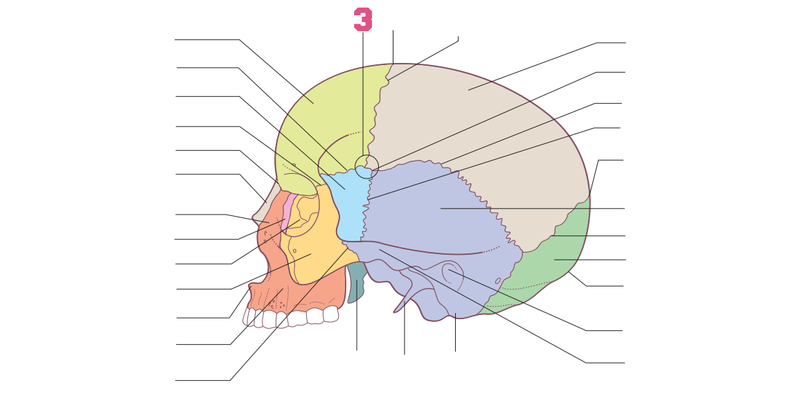 <p>03</p>