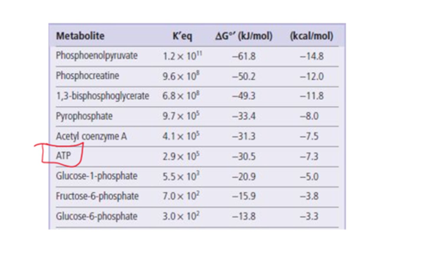 <p>-30.5 kJ/mol</p>