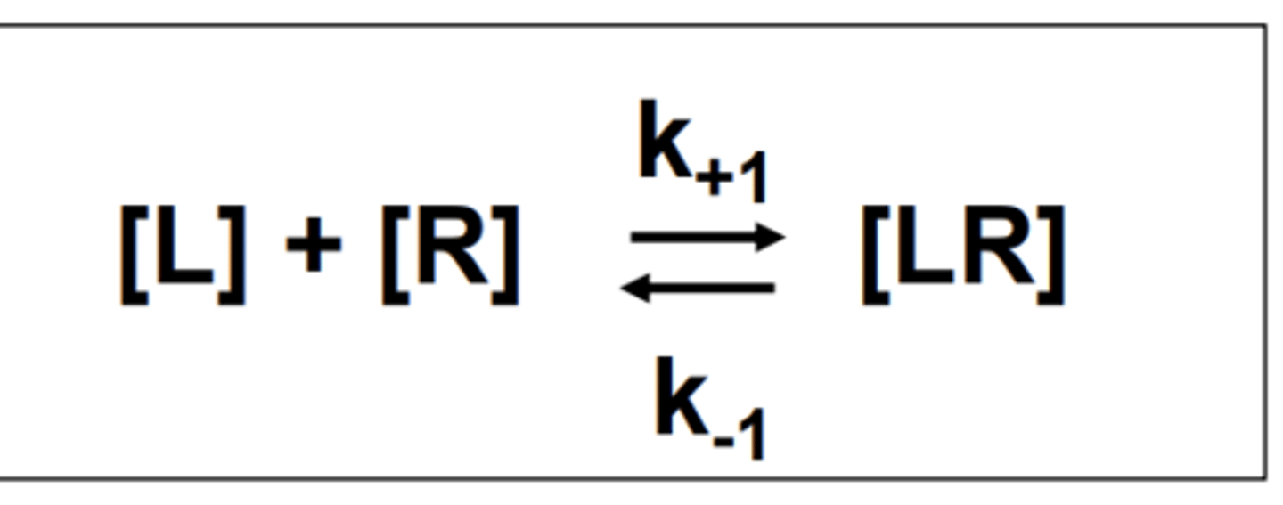 <p>K+1 = Association rate</p><p>K-1 = Dissociation rate</p>